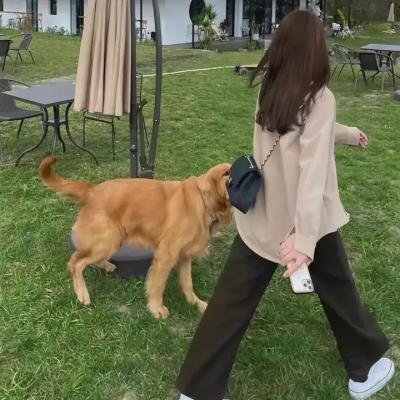 惧水之恋